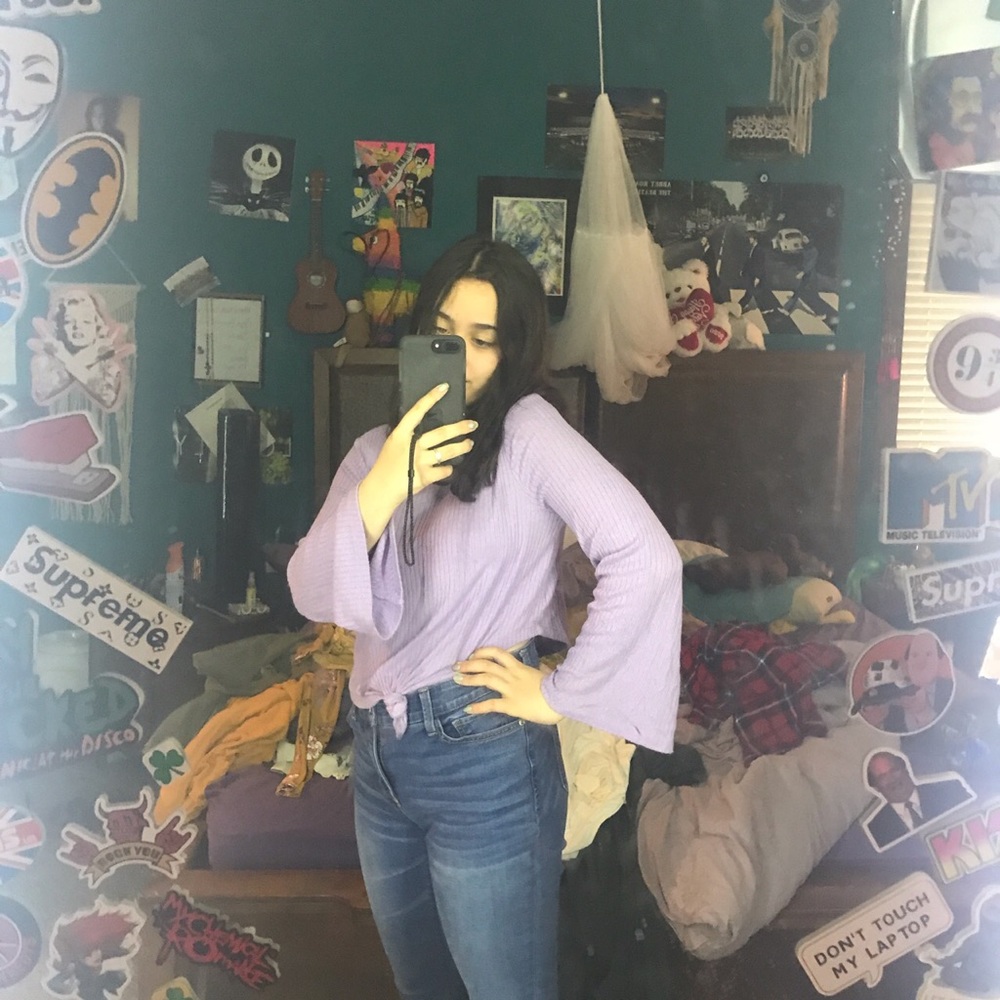 Large sleeved purple crop top